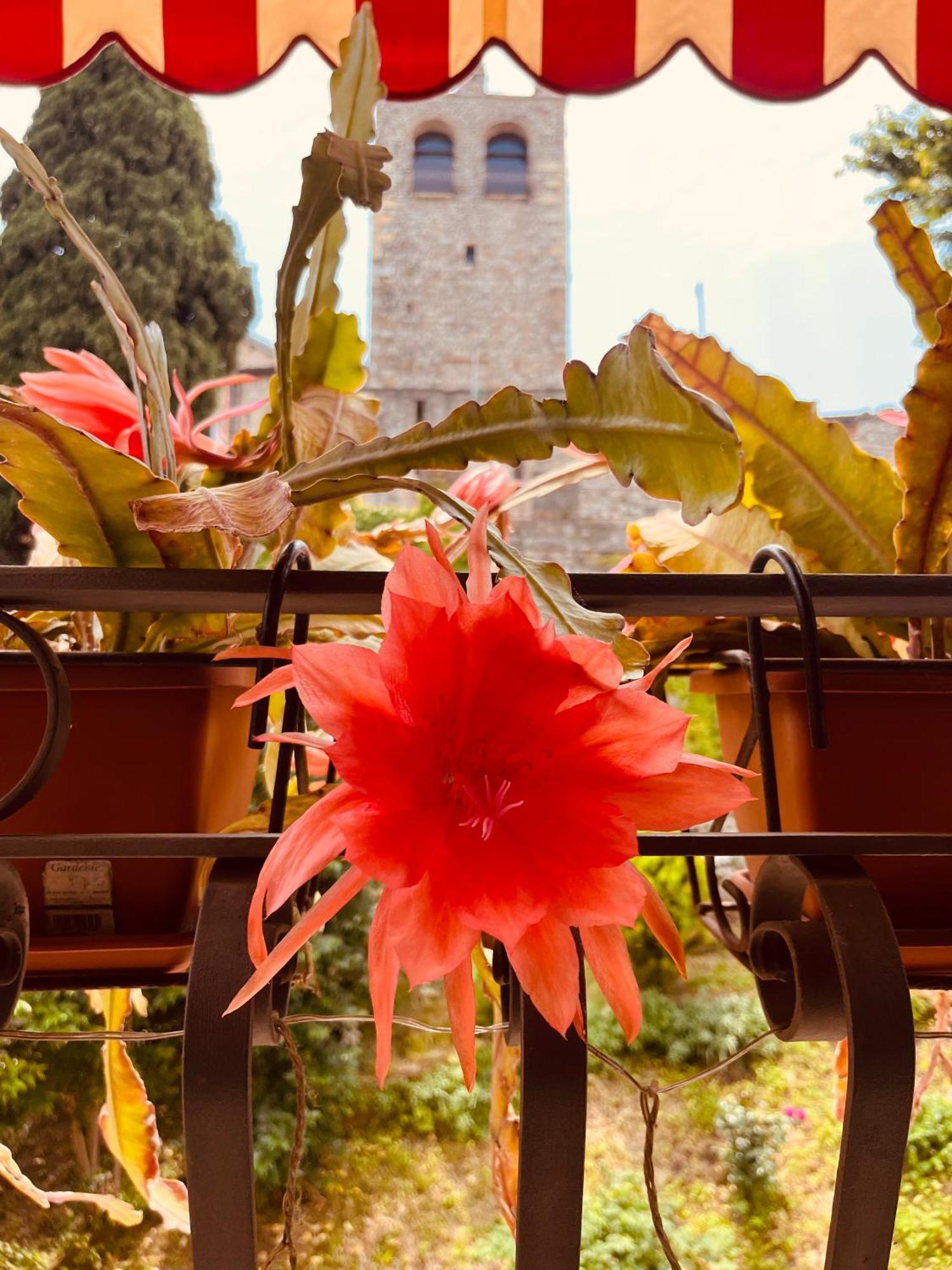The Queen Tower Desenzano del Garda Zewnętrze zdjęcie